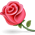 2065_76745_rose.