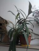 20668_Foto-0483.