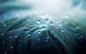 20744_Abstract-Water-Drops-HD-Wallpapers-Download-8.