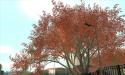 20747_BSOR_TBSA_EOTS_002.