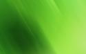 2080Clean_Green_Abstract_Desktop.