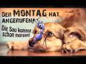 208_montag_sau.