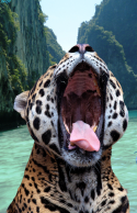 20938_tumblr_lzaherRcpF1qlv91no1_500.