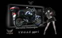 20993_VEGAS_350i.