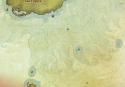 21046_ScreenShot0046.