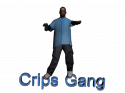 2117_347860_Crips.