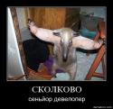 21285_1284565162_75986-skolkovo_seniior_developer.