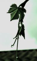 2130_DSC01033.