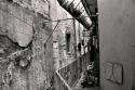 21433_lviv02.