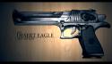 2181Desert_Eagle_by_Graf_and_Loki_26-27_June_2011.