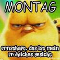 21892_montagsgesicht.