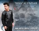 21932_12-03-2013_-_Miguelito_Calendar_0001BDayVersion.