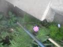 22259_Foto-0441.
