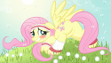 2230hurricane_fluttershy_by_jungleanimal-d4u06rk.