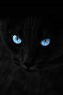 22392_tumblr_m7l4z2OtpK1qgpjtfo1_500.