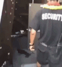 22416_gif-humor-palevo-security-sex-1654285.