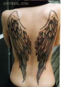 22429_angel_wings_tattoo_by_cannibol.