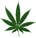 22484_marijuana_leaf.