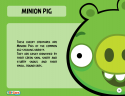 22485_Minion_Pig_Toy_Care.