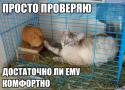 22500_0ef42a6935e9346ef5fb23ecb77f.