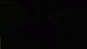 22504_MJMPP.
