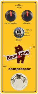 225_21999_Bear_Hug_compressor.