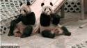 2265_pronom_not_final.