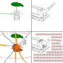 22812.