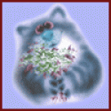 2282cat-flowers.