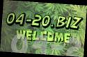 22862_0FqyKDFlpb.