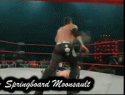 228Springboard_Moonsault.