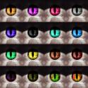 2294Mr_DarkAssassin1991_Glow_eyes_ModPack.