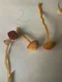 22996_IMG_20140913_161047.