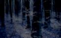 23120_Optimized-FrostbiteBackground.