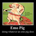 23181_EmoPig_png.