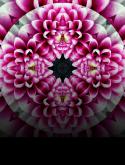 23182_test.