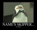 23299_mr__skipper_by_rookie70penguin-d5kxh24.