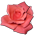 23315_876_rose.