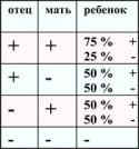 23335_2221.