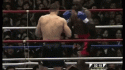 23659_ernesto_hoost_low_kick_4.