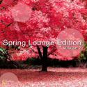24029_1364232529_va-spring-lounge-edition-vol_-2.