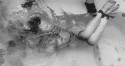 24104_tumblr_m4l14jk7rz1qifjiuo1_500.