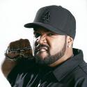 2412SUN0112_ICE_CUBE-1.