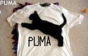 2413lol_puma.