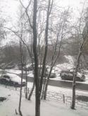 2417_vesna.