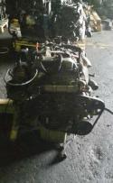 24194_2633667mossfounddovegnexa10484119.