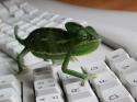 24278_normal_1117119227_Suse.