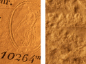 24377_ass-36j-10264.