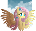 2438animu_fluttershy_by_nabbiekitty-d489v1w.