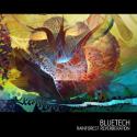 243Bluetech_Rainforest_Reverberation_2011.